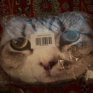 Taylor Swift Meredith Pillow